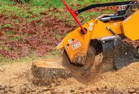 Best Tree Cabling and Bracing  in Trevorton, PA